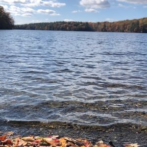 Meet your Posher, Sam